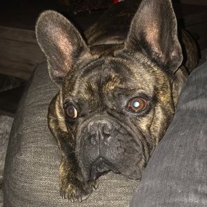 Meet your Posher, Steven